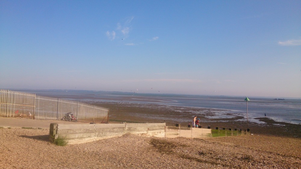 Nice Day At Tom…